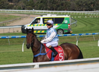 Creek stable back in action today