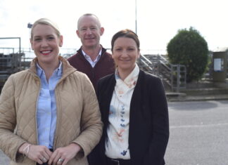 Saleyards and budget talks