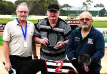 ANZAC success continues for local trainer