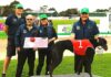 Big Diesel on the ball in Autumn Classic