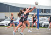 Tigers exploit damaged Bulldogs’ weakness